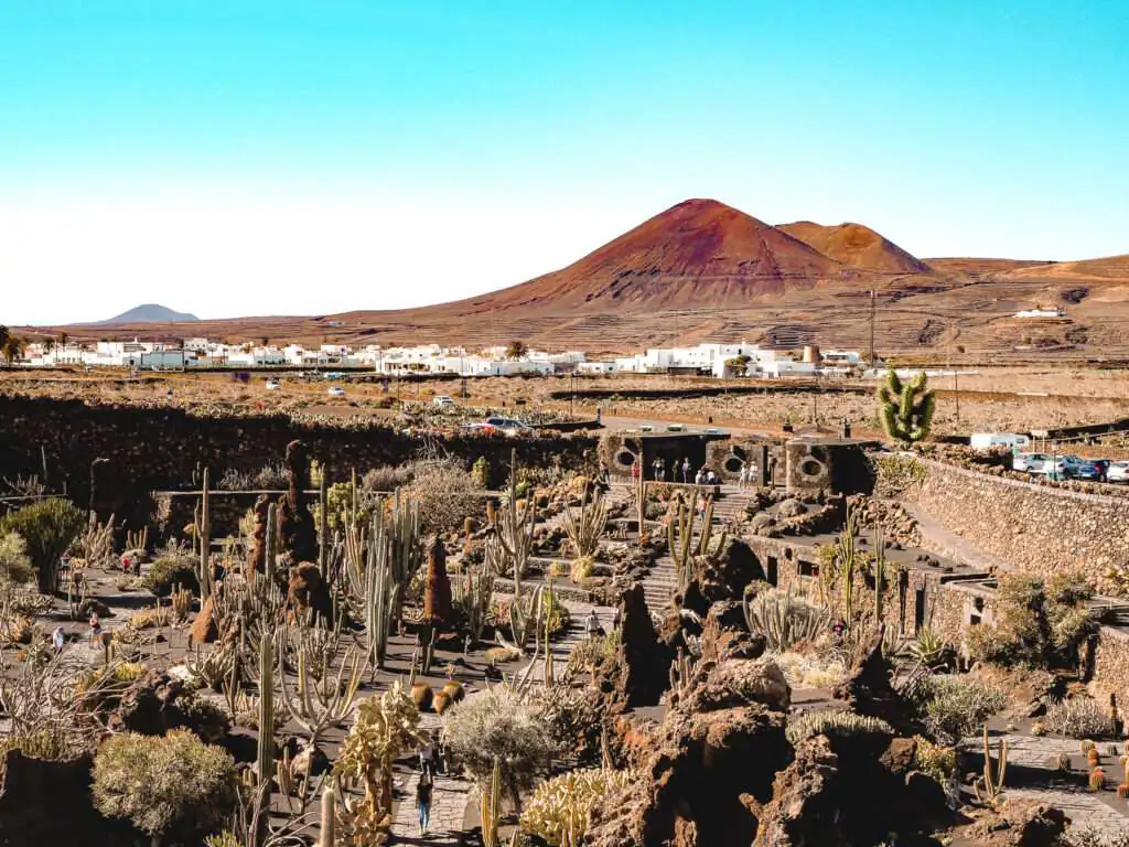 Ausblick vom Jardin de Cactus