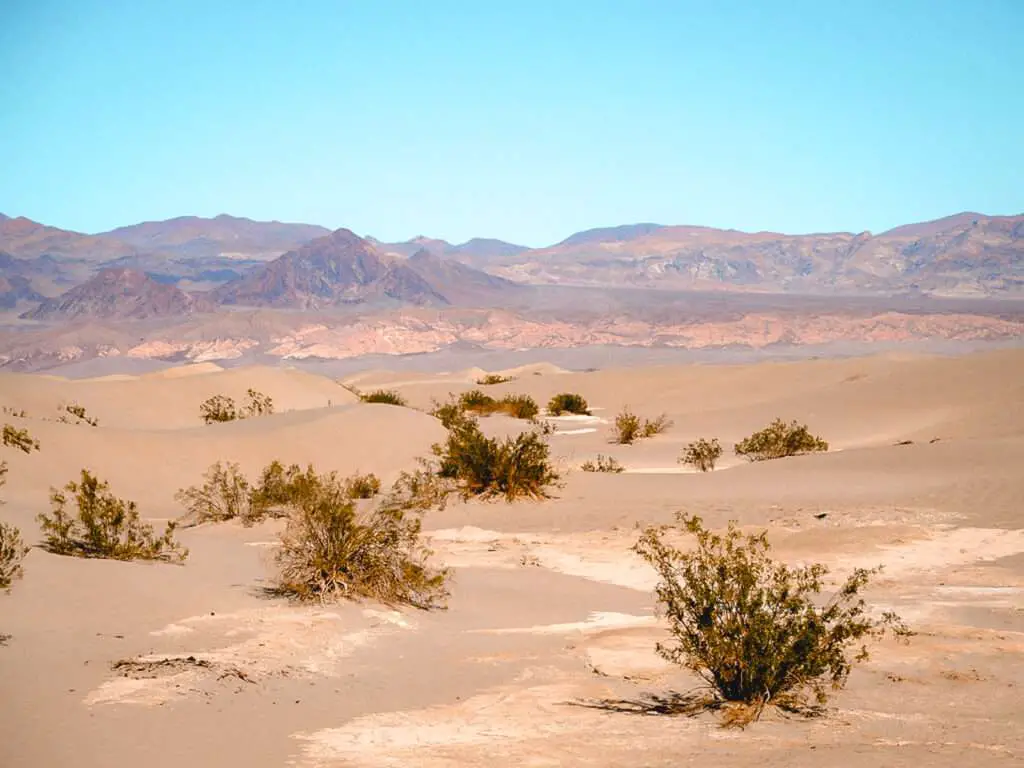 Blick auf die Mesquite Flat Sand Dunes