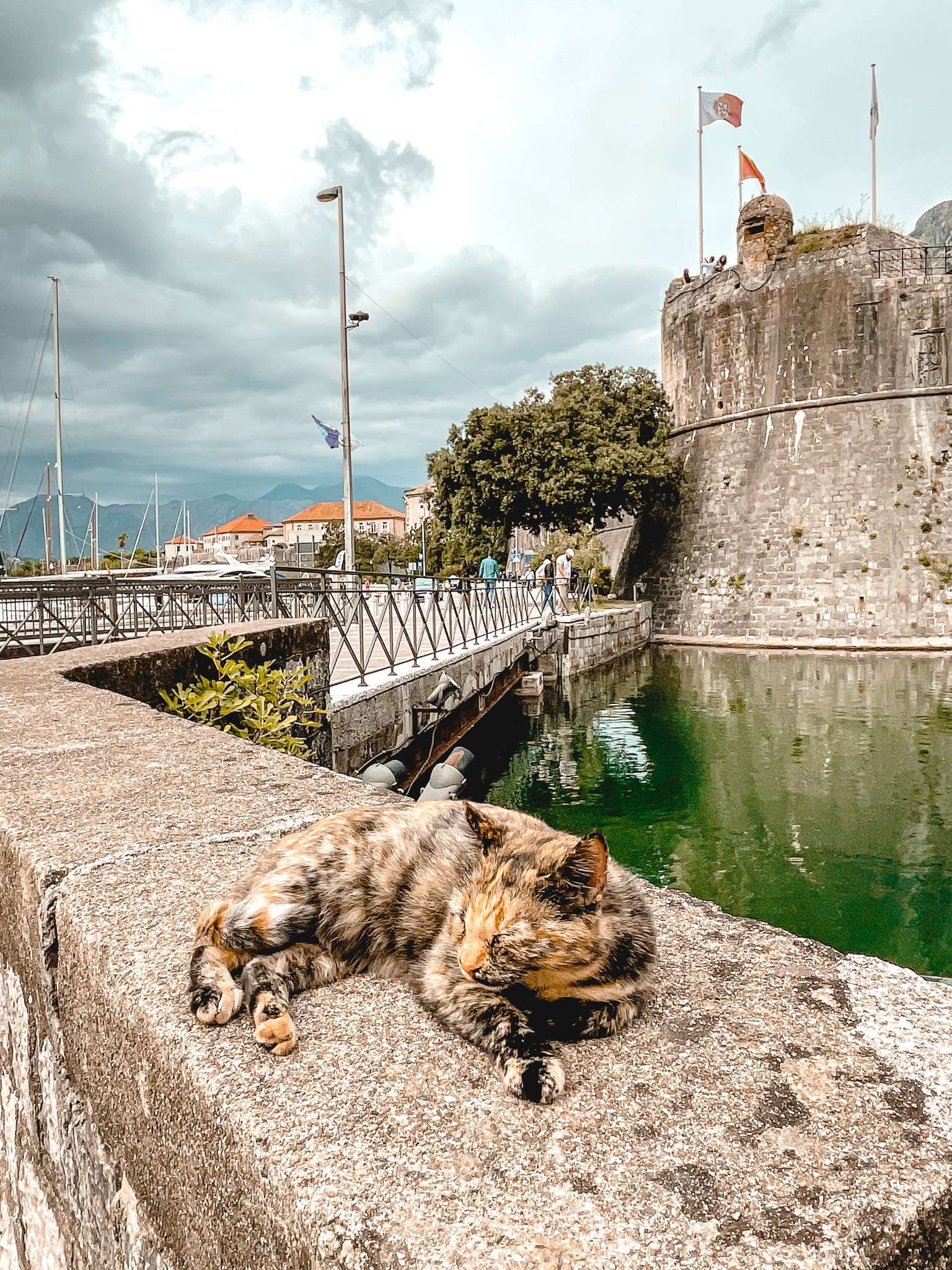Die besten Sehenswürdigkeiten in Montenegro
