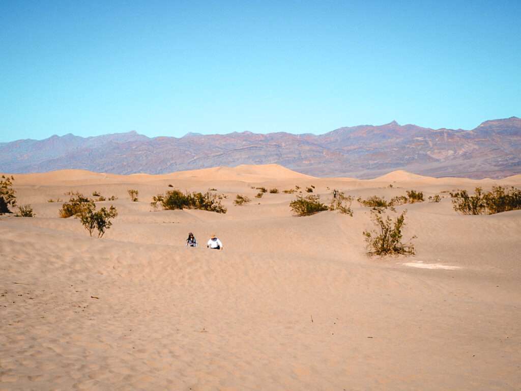 Mesquite Flat Sand Dunes