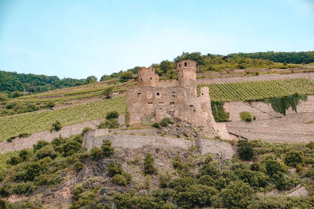 Burg Ehrenfels Rüdesheim
