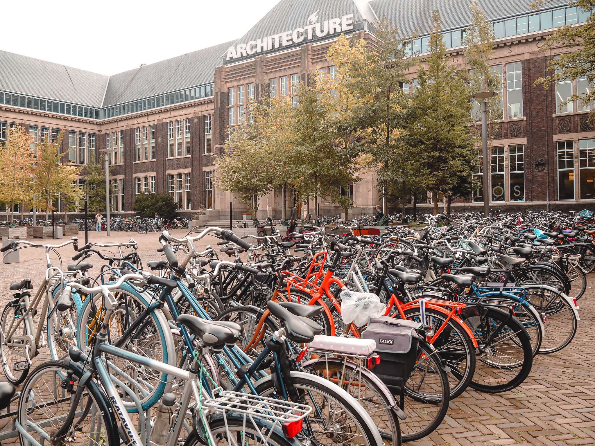 fahrradfahren in holland