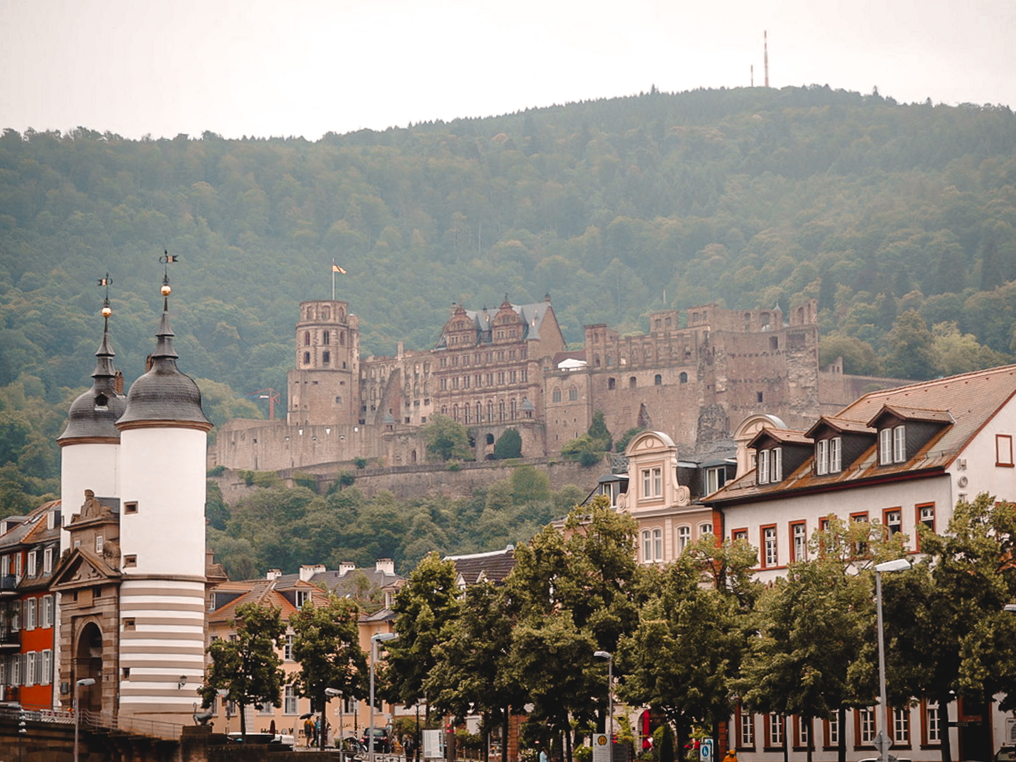 Heidelberg Blick aufs Schloss