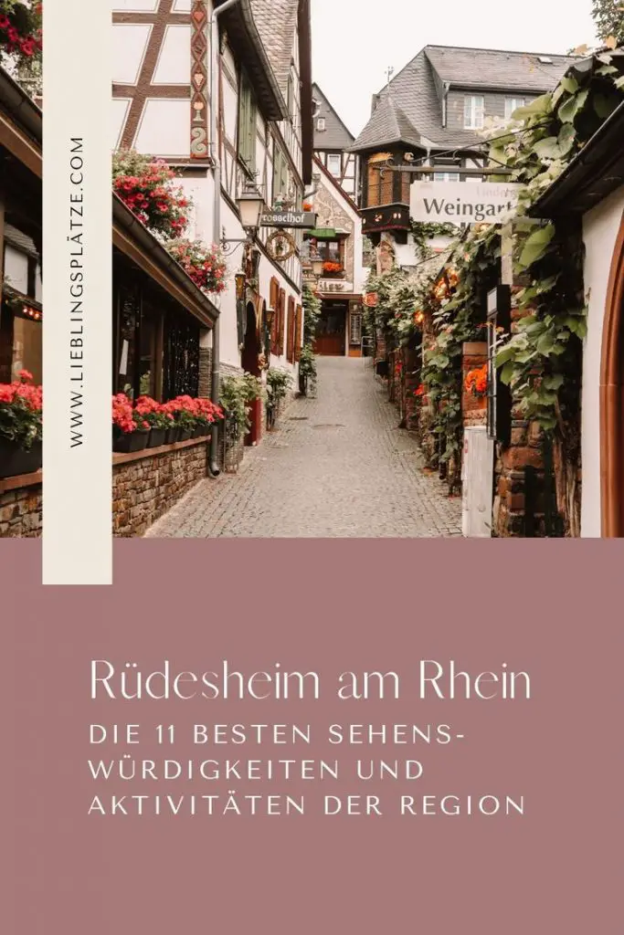 Pinterest Pin - Rüdesheim_ Top 11 Sehenswürdigkeiten