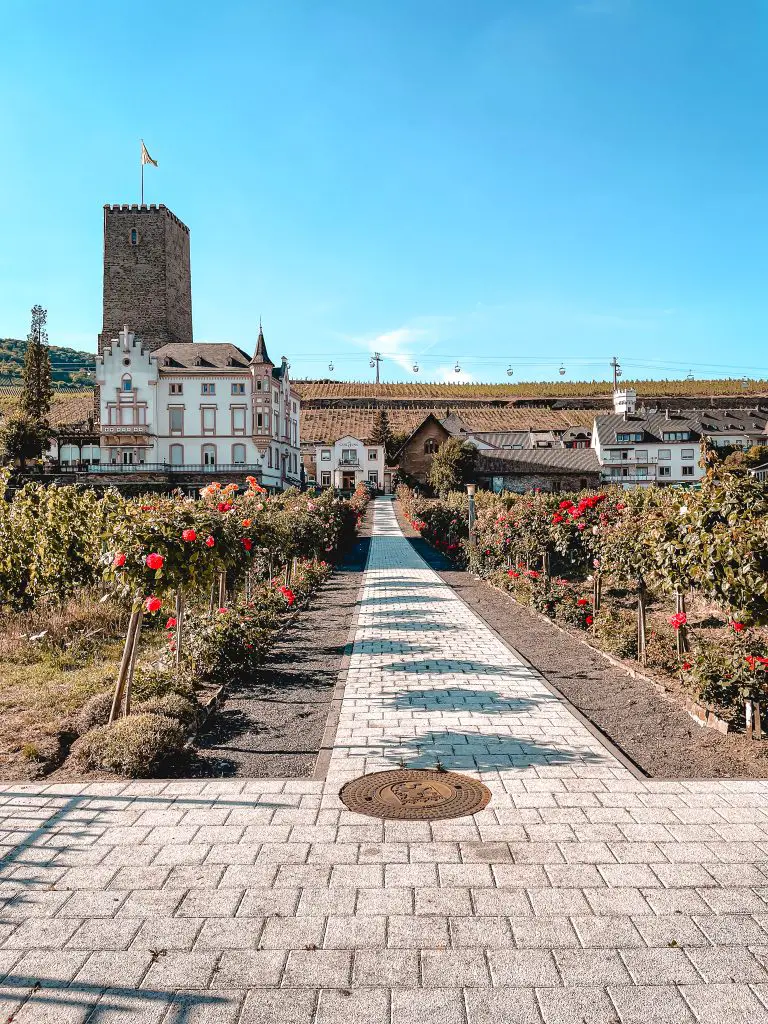 Rüdesheim Weingarten Brömserburg