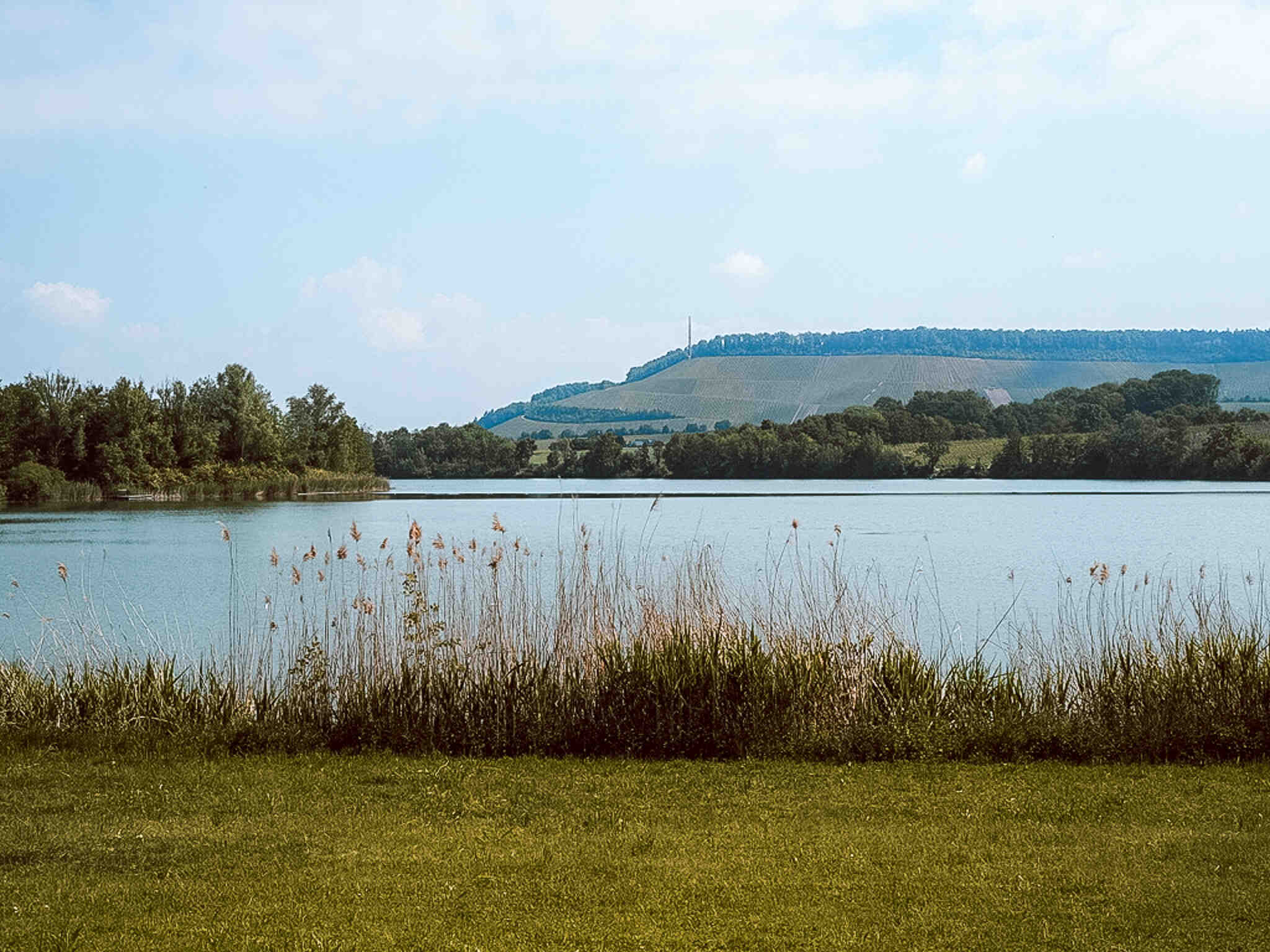 Tierpark Im Umkreis Von 50 Km