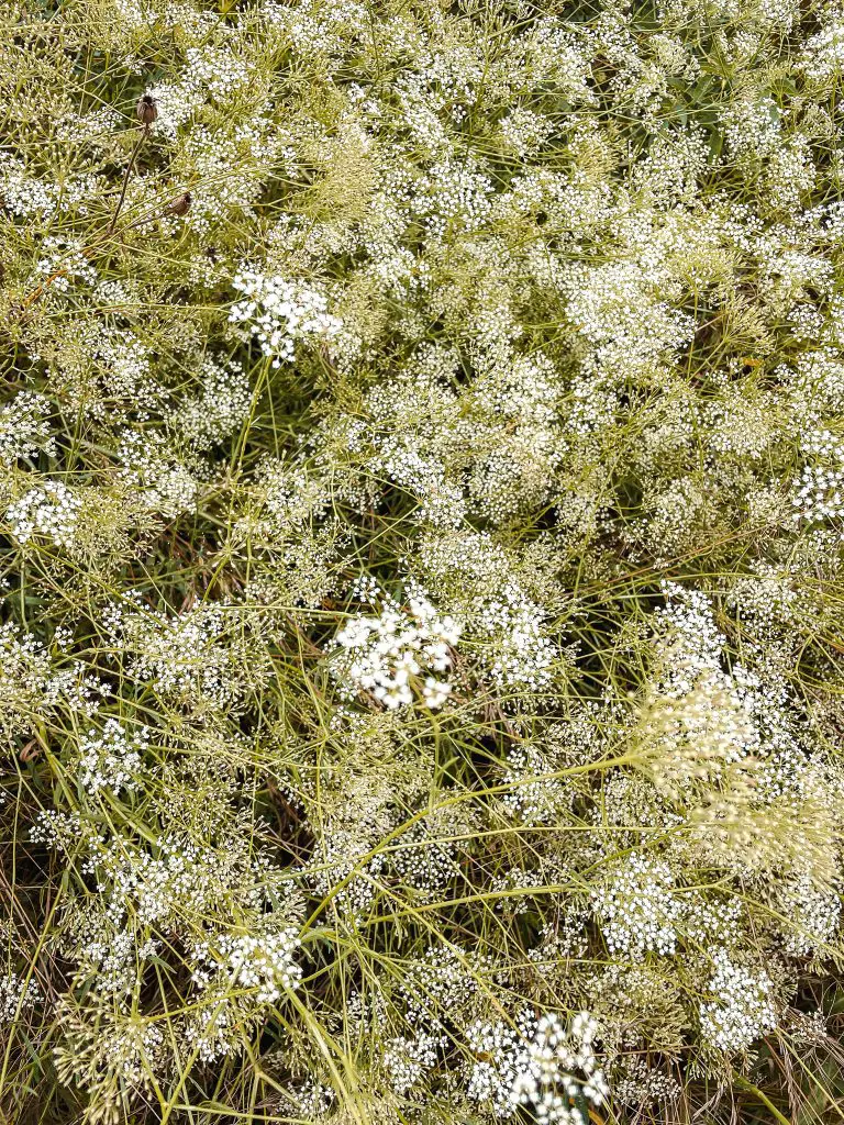 bad friedrichshall natur