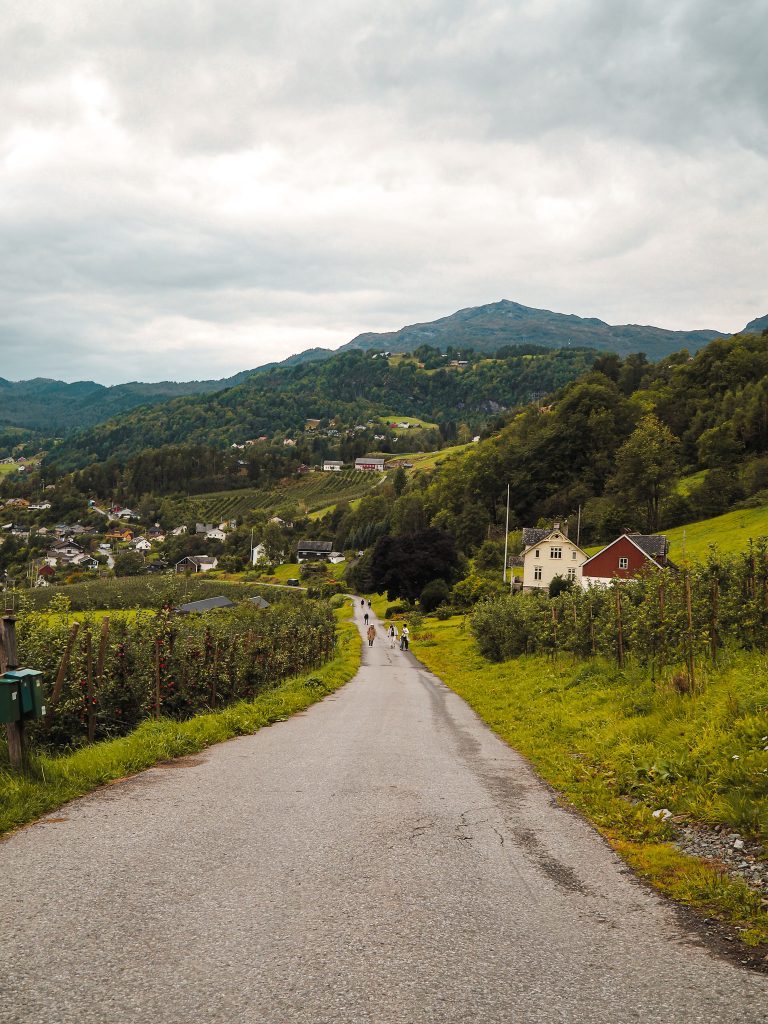 Spaziergang Siderruta Ulvik