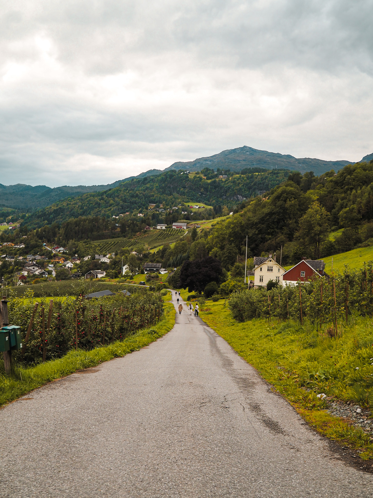 Spaziergang Siderruta Ulvik