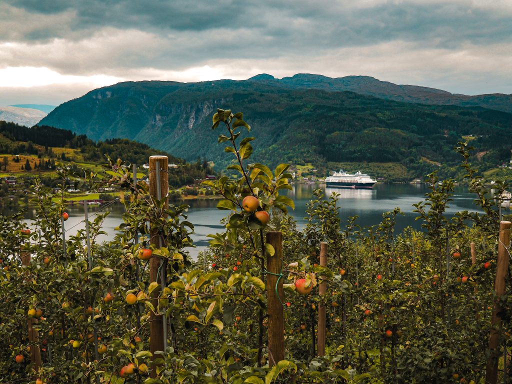 Vasco da Gama in Ulivk Norwegen