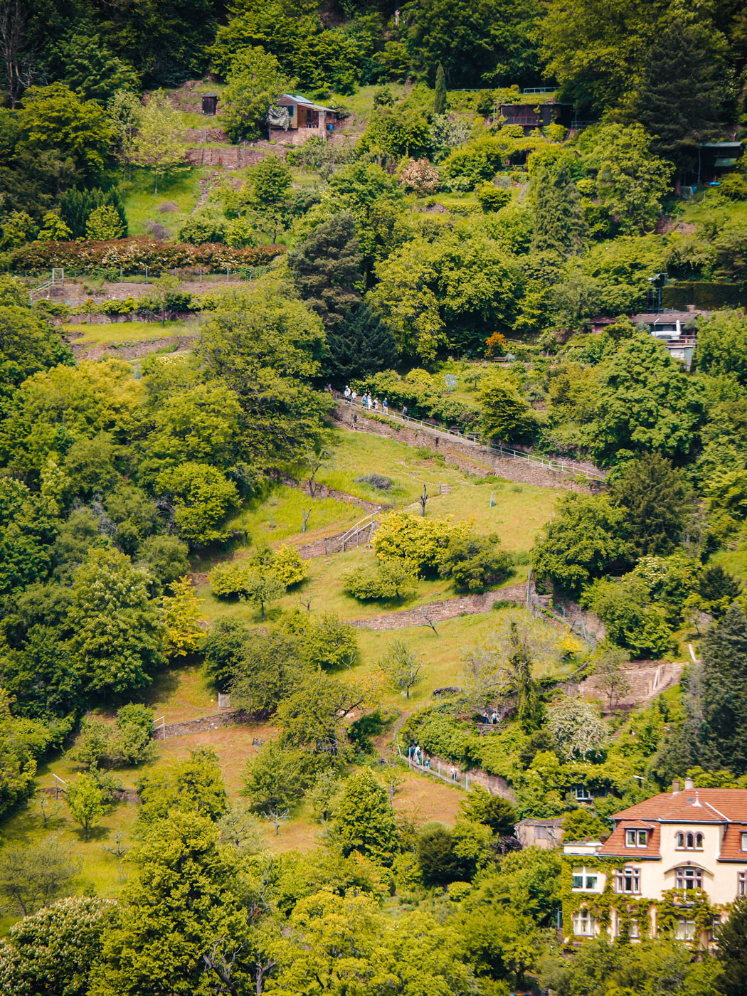 Schlangenweg zum Philosophenweg Heidelberg