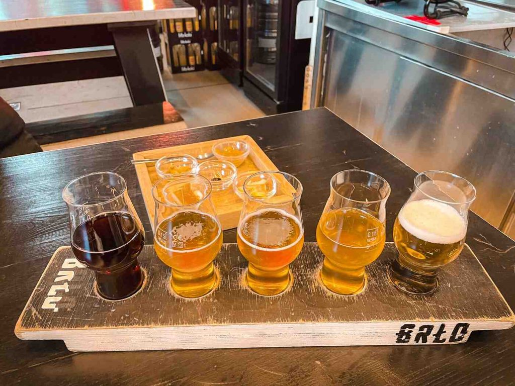 Bier Tasting BRLO Brwhouse