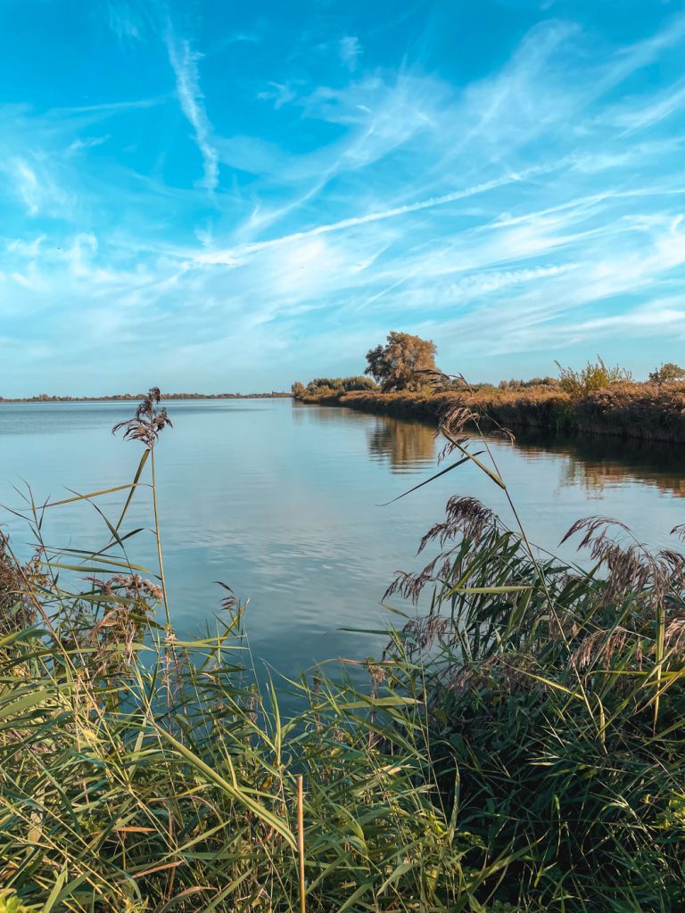 Reeuwijkse Plassen südholland