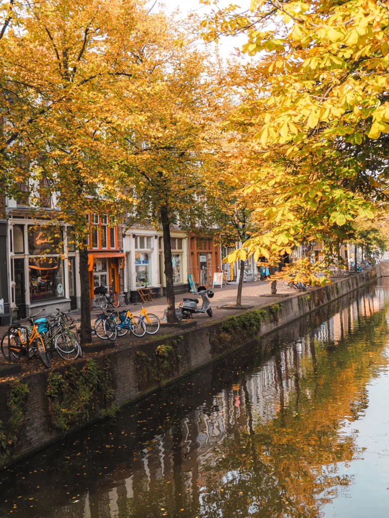 schöne grachten in südholland