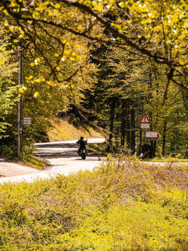 kuckucksbähnle pfälzer wald