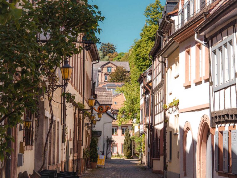 neustadt an der weinstraße sehenswürdigkeiten
