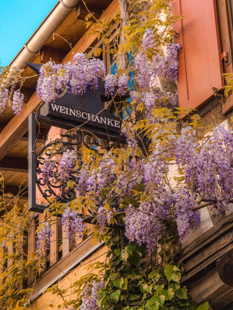 weinschänke neustadt an der weinstraße