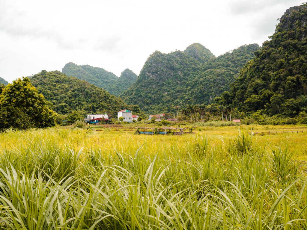 viet hai village natur