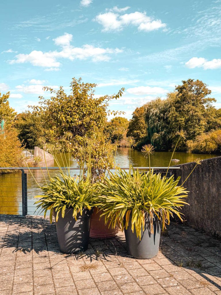 kurpark bad rappenau