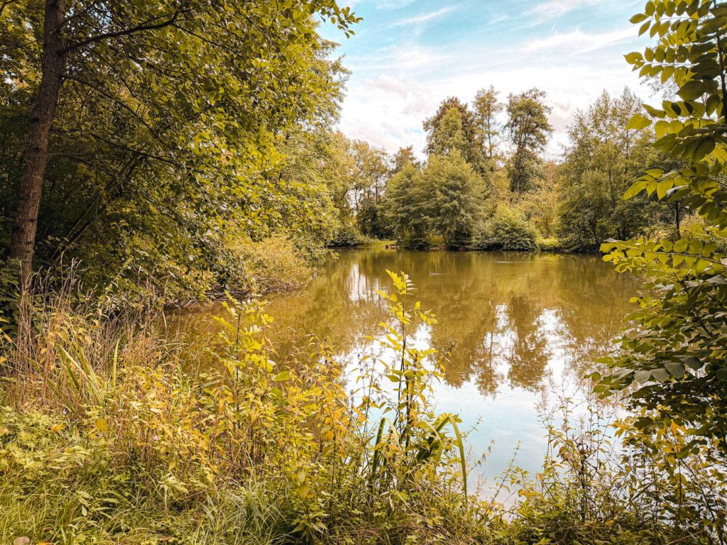 mühlbachsee bad rappenau