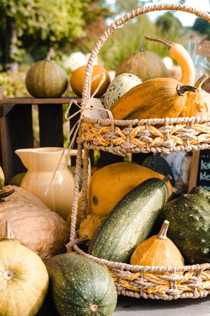 Herbstzeit im Landwinkel de Eekhoeve