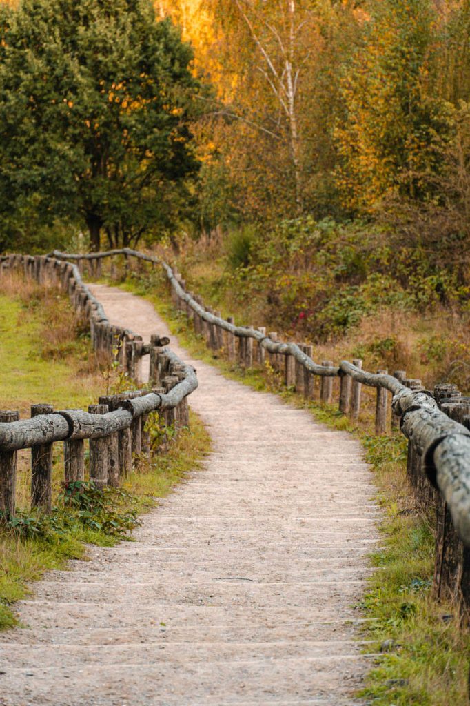Treppe im Kwintelooijen
