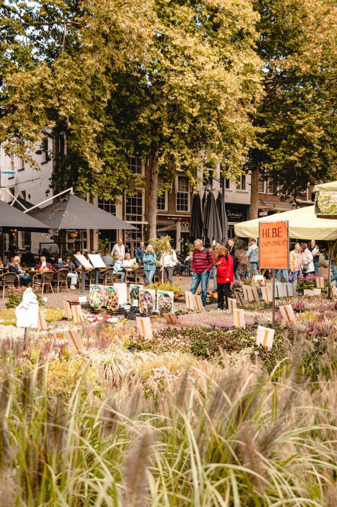 deventer wochenmarkt